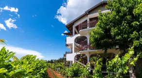 Apartman Petelin - Image 4