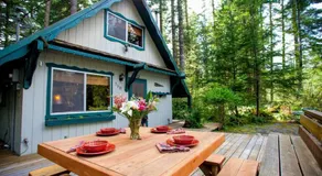 Rainier's Iconic Cabin with Forest Views & Hot Tub - Image 5