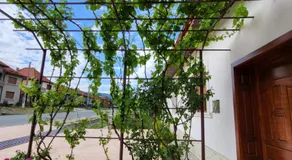 CASA DIN SAT - Image 4