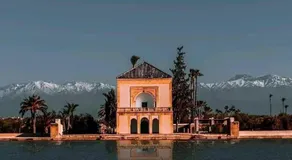 Riad Hugo - Image 5