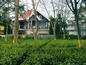Super luxury Gold Room with private pool at Homestay by the tea garden Dibrugarh - Image 4