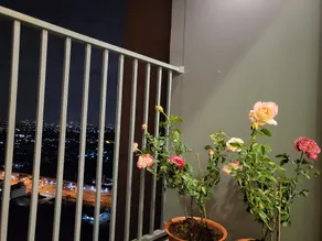 Monthly Condo Central Westgate - Image 5
