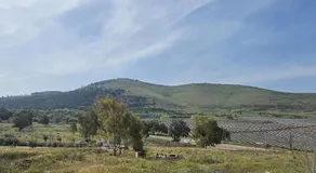 נוריות בגלבוע 1 - Image 5