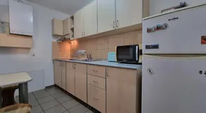 RORO Residence - 2 apartamente într-o vilă central - Image 4