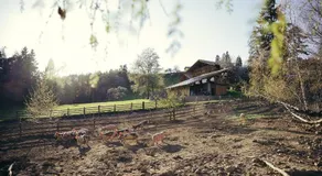 Appartamento di vacanza \"Obertimpflerhof Rosi\" con vista sulle montagne, balcone e Wi-Fi - Image 5