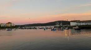 Ave del Mar - Image 5