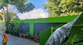 Central Vieques 2BR | Walk to Ferry, Beach & Plaza - Image 3