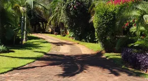 Palm villa - Image 3