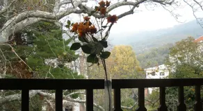 Pelias Hotel - Image 3