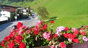 Grünwaldhof - Image 2