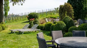 Weingut Lambauer - Image 5