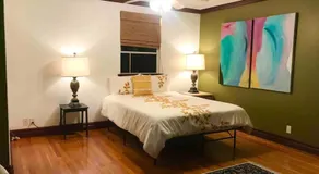 Hawaii Tropical Volcano mansion + Sauna - Image 2
