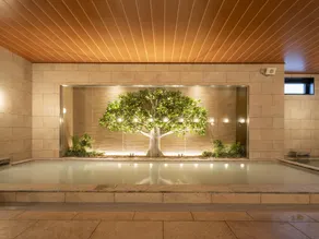 Tabino Hotel Aso Kumamoto Airport - Image 2