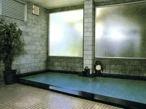 Fujiya Ryokan - Image 2