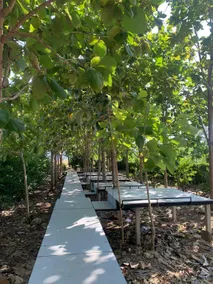 Tent มีแอร์ นอนได้2คน - Image 5