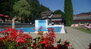 Landhotel-Restaurant Willingshofer - Image 4