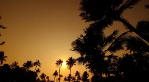 Marari Lotus Beach Villa - Image 4