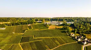 Cocon en Champagne - Image 5