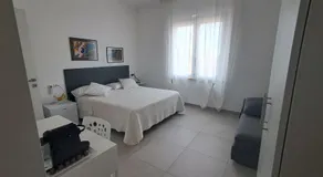 Bouganvillea - Image 2