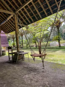 tarotours accommodations - we manage different guesthouses in taro village - Image 3