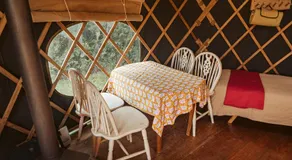 Beech Yurt - Image 2