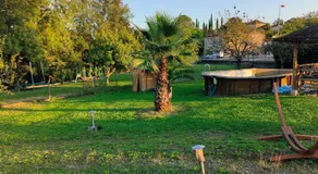 Vegetal jungle - Image 4