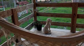 Pousada Rancho do Marçal - Image 4