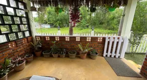 Manas Jungle Retreat - Image 4