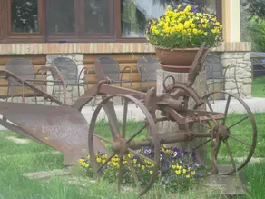 Agriturismo le Spighe - Fattoria Bertaccini - Image 4