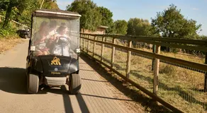 Tiger Lodge - At Port Lympne Hotel & Reserve - Image 5