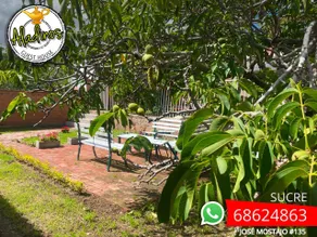 Aladino's house - Image 3