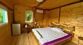 Kъщичка в полите на планина Витоша с коне и животни - Image 2