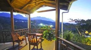 Finca Hamburgo La Ruta del Cafe - Image 4