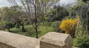 A La Maison des Oiseaux - Image 5