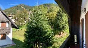 Casa vacanze Ravascletto - Image 3