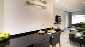Spacious New and Renovated Apartment in Plaza Espana with Stunning Terrace-Garden and Exquisite Deco - Image 3