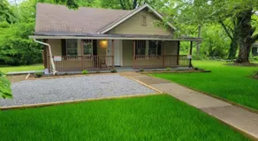 Red Bud - Image 3