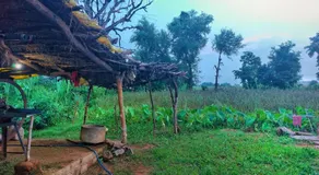 Maji Homestay Khajuraho - Image 5