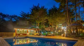 Hoengseong Marshmallow Pool Villa pets allowed - Image 5