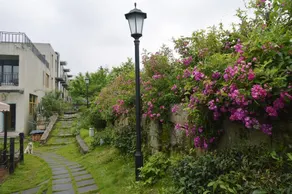 Freetime Inn - Image 3