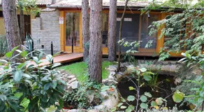 Ambiente - Image 3