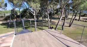 Les pins du Luberon - Image 4