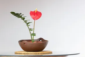 El Sitio de la Casa - Image 3