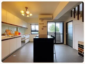 Stay with the elm 隨榆而安 - Image 4