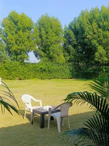 Chandras palace hotel kothar - Image 5