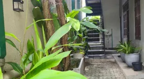 Urban tropics - Image 2
