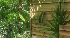 La Palmeraie - Image 3