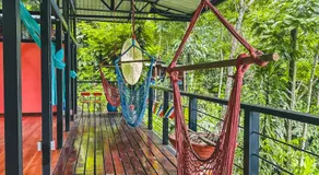Selva Madre Eco-Sanctuary - Image 4
