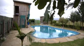 Mambo Game View - Image 5