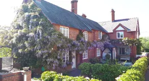Cotton Farm - Image 3